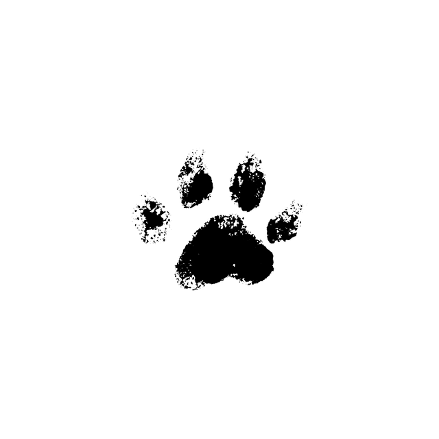 Paws